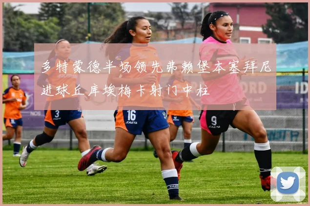 多特蒙德半场领先弗赖堡本塞拜尼进球丘库埃梅卡射门中柱