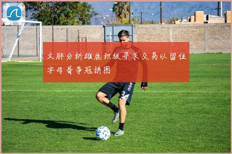 文胖分析雄鹿积极寻求交易以留住字母哥争冠拼图